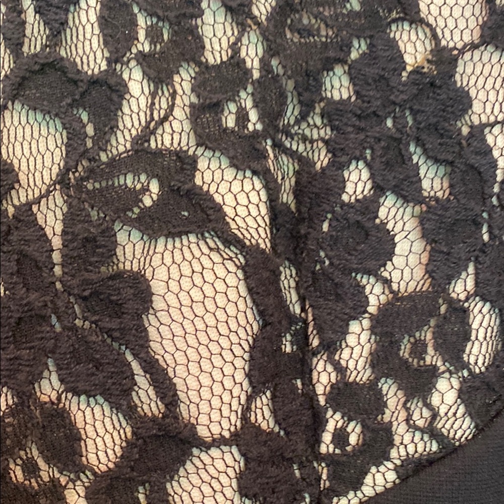 Ted Baker London Black with Nude Underlay Dress - Picture 3 of 7